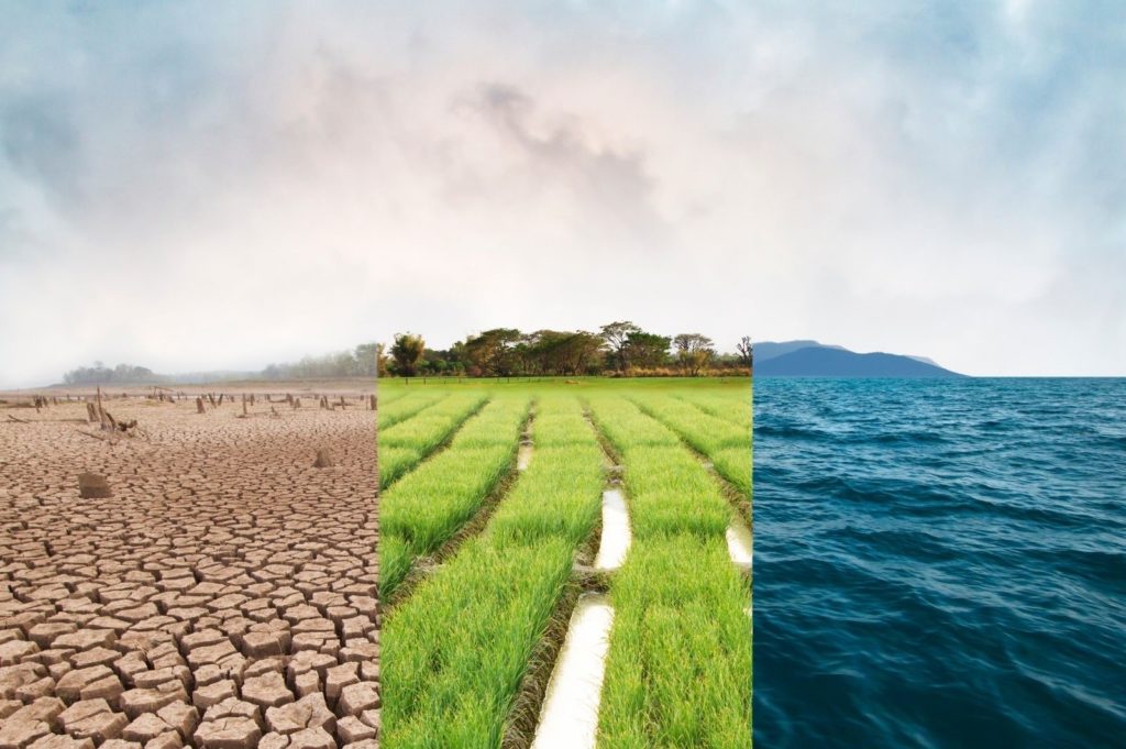 CLIMATE CHANGE AND SUSTAINABLE AGRICULTURE IN CAMBODIA